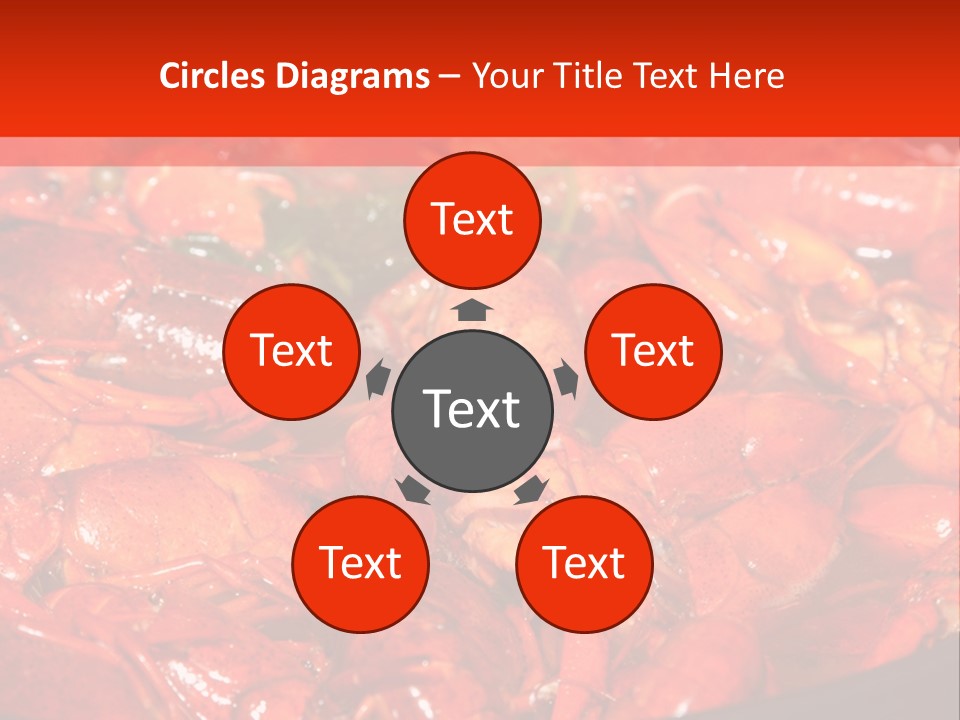 Spice Orleans Shell PowerPoint Template