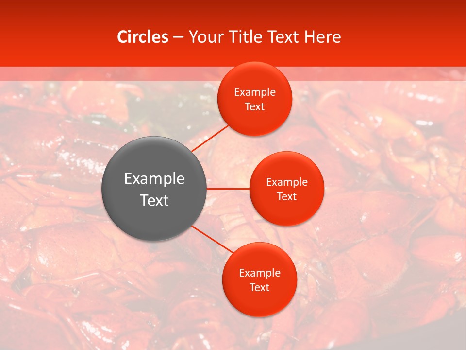 Spice Orleans Shell PowerPoint Template