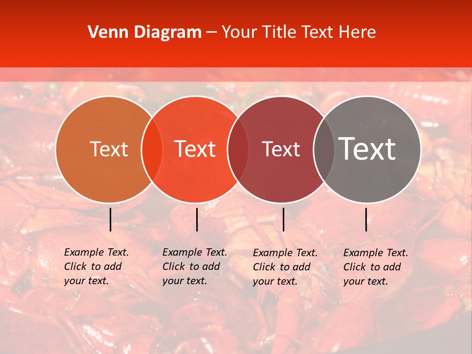 Spice Orleans Shell PowerPoint Template