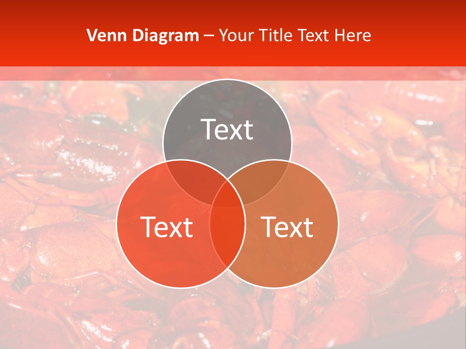 Spice Orleans Shell PowerPoint Template