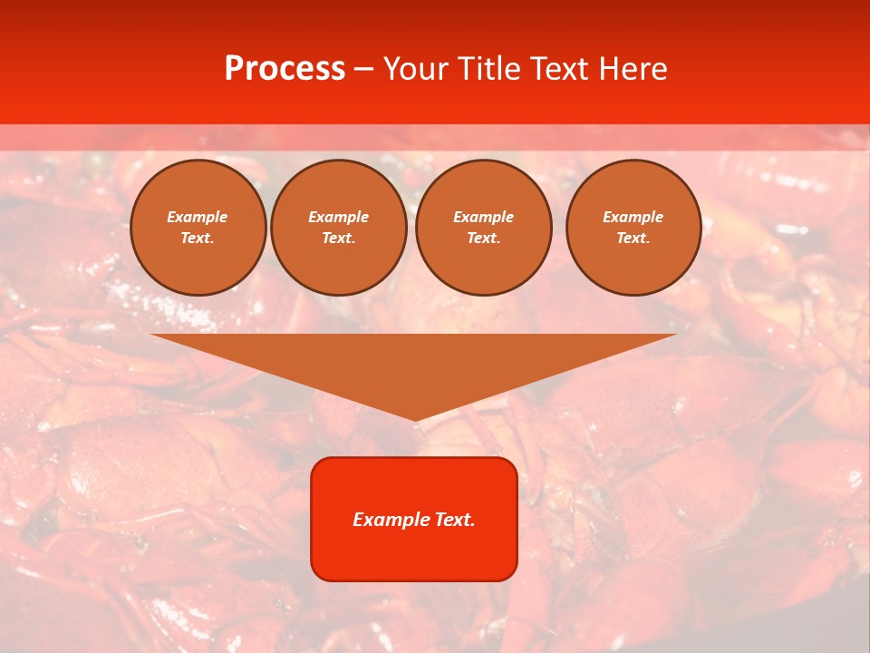 Spice Orleans Shell PowerPoint Template