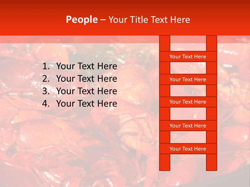 Spice Orleans Shell PowerPoint Template