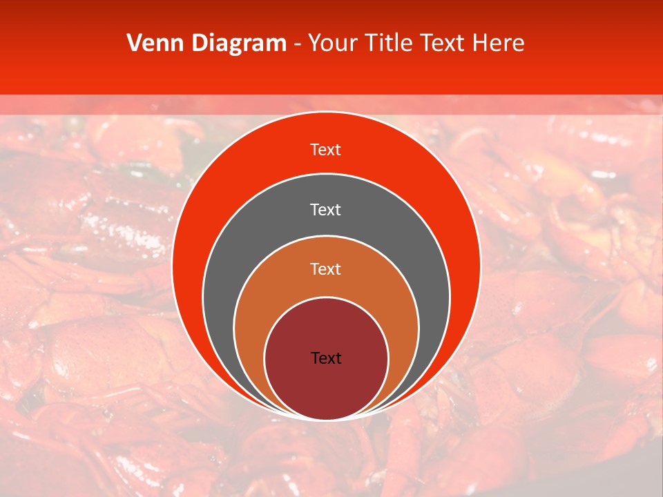 Spice Orleans Shell PowerPoint Template