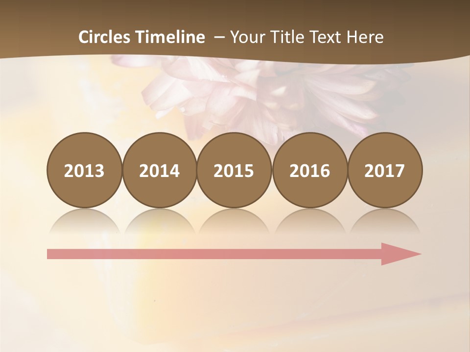 Products Treatment Hygiene PowerPoint Template