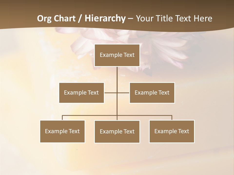Products Treatment Hygiene PowerPoint Template