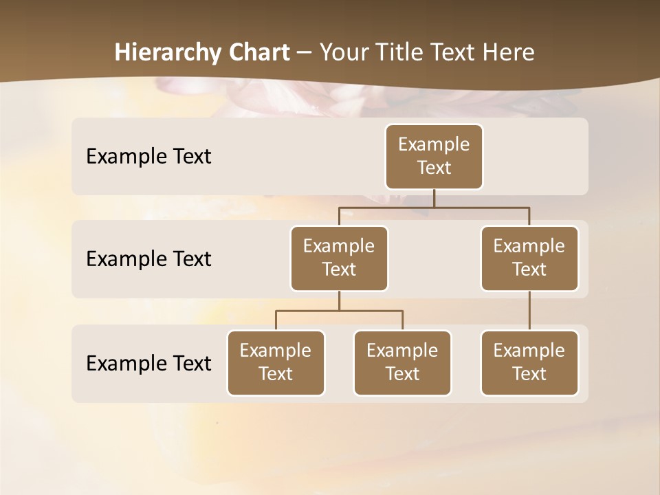 Products Treatment Hygiene PowerPoint Template