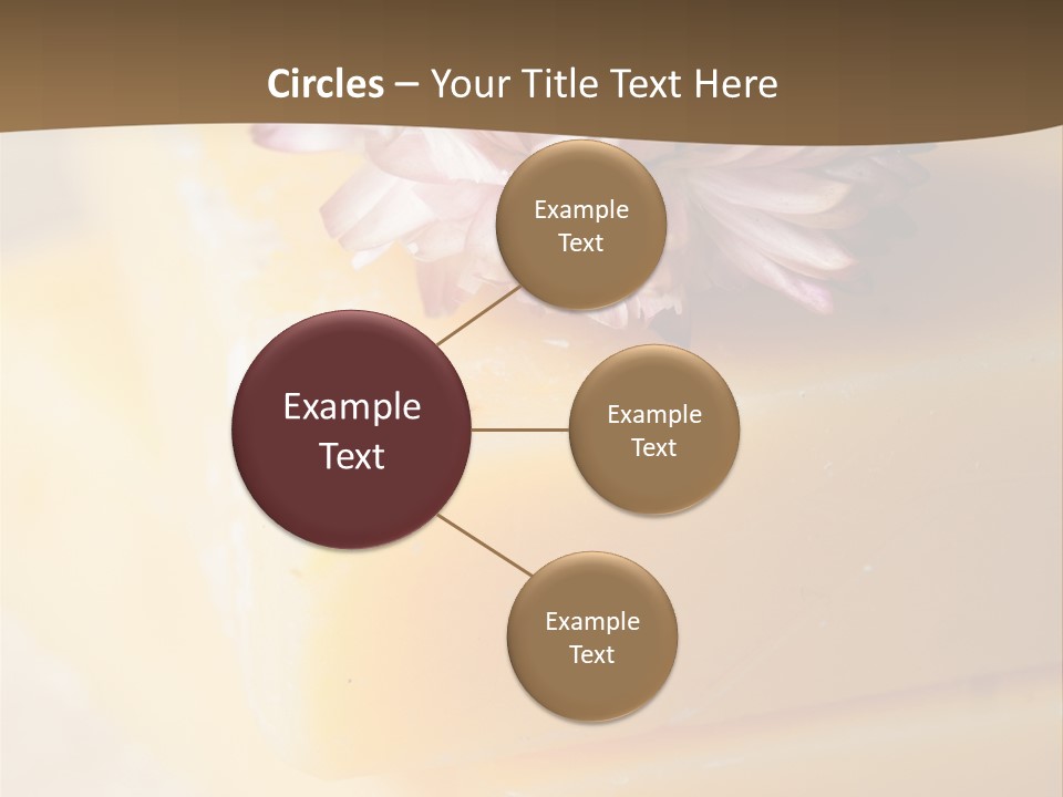 Products Treatment Hygiene PowerPoint Template