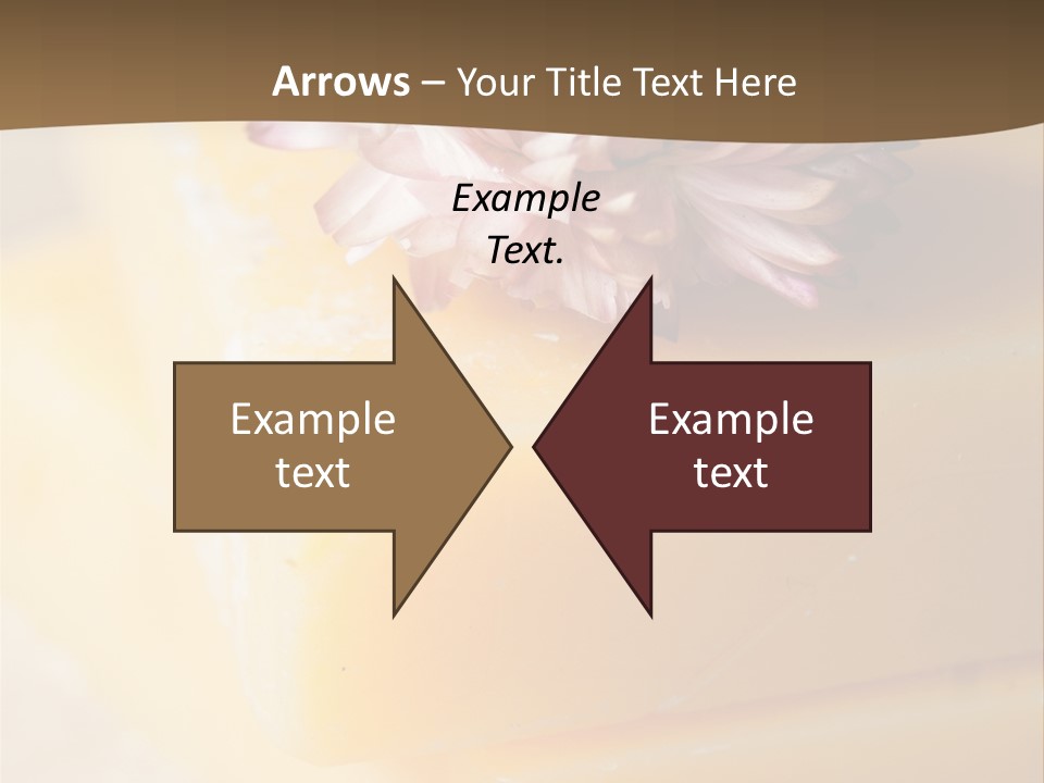 Products Treatment Hygiene PowerPoint Template