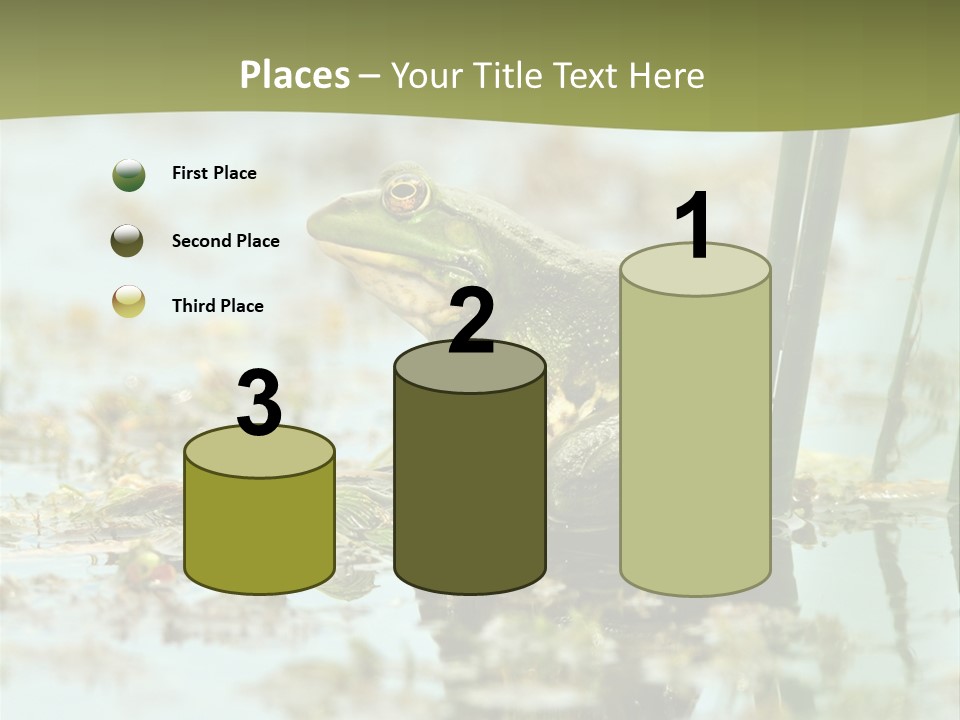 Beautiful Summer Green PowerPoint Template