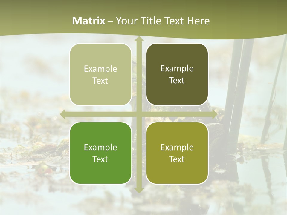 Beautiful Summer Green PowerPoint Template