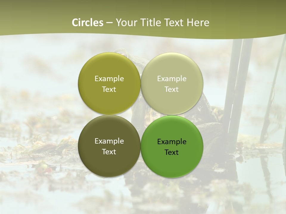 Beautiful Summer Green PowerPoint Template