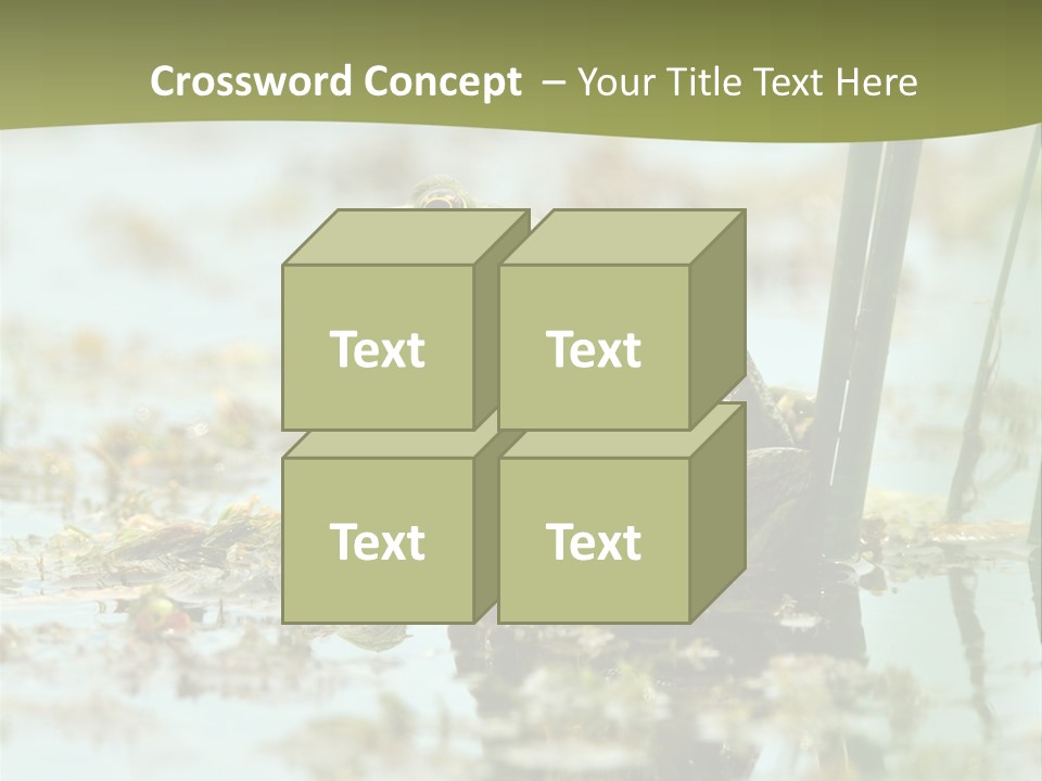 Beautiful Summer Green PowerPoint Template