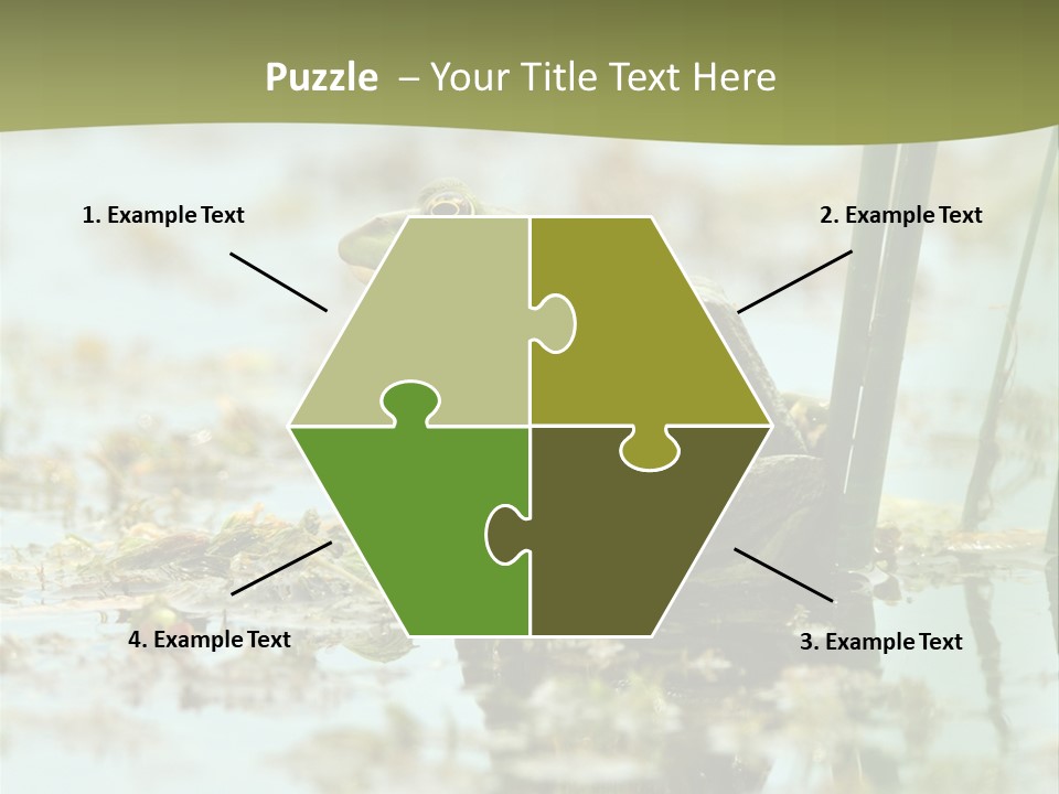 Beautiful Summer Green PowerPoint Template