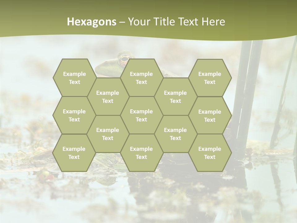 Beautiful Summer Green PowerPoint Template