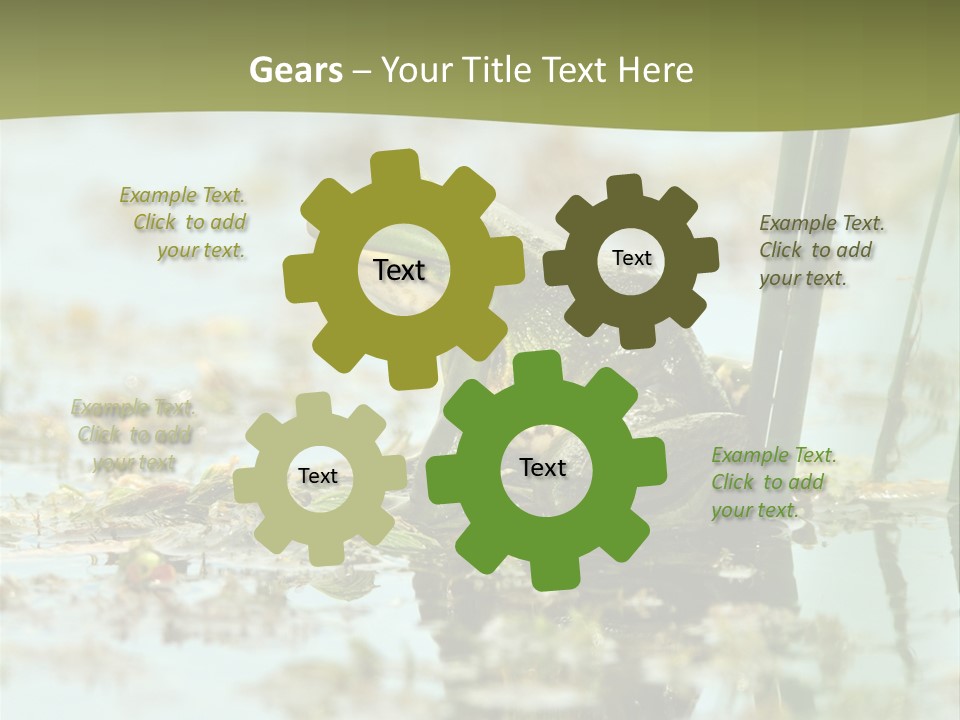 Beautiful Summer Green PowerPoint Template