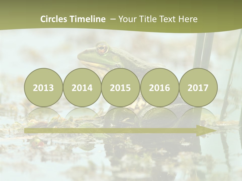 Beautiful Summer Green PowerPoint Template