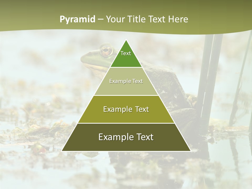 Beautiful Summer Green PowerPoint Template