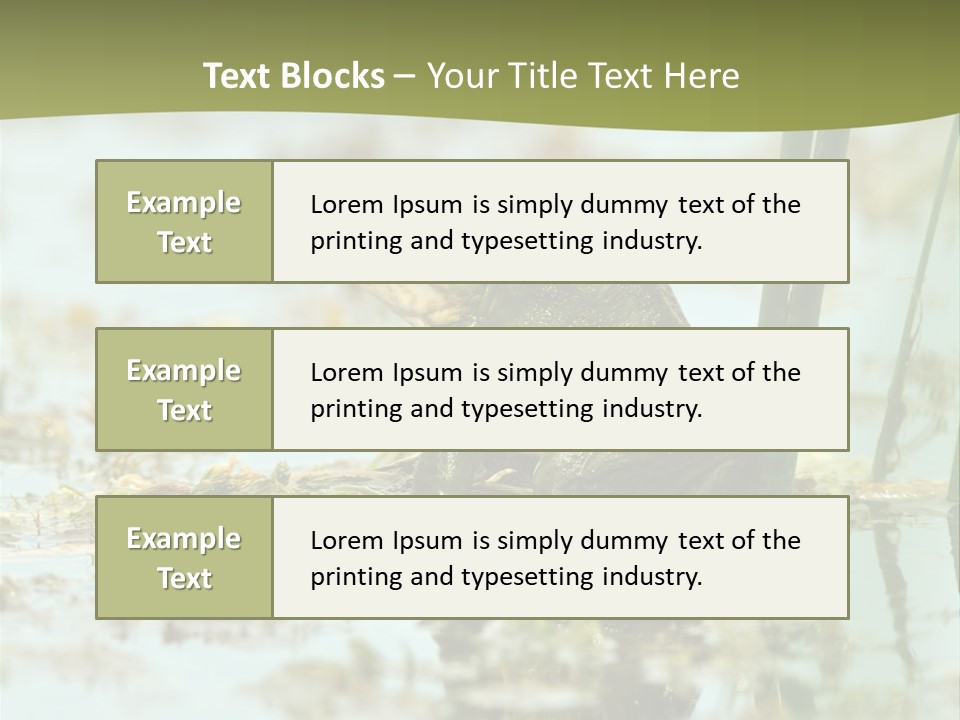 Beautiful Summer Green PowerPoint Template