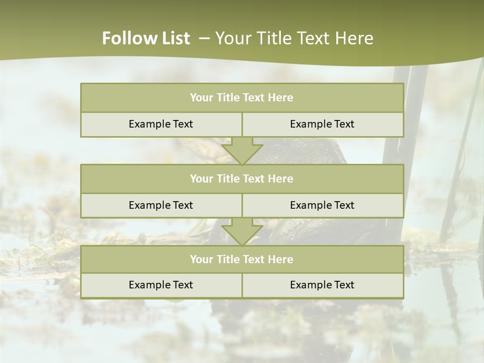 Beautiful Summer Green PowerPoint Template