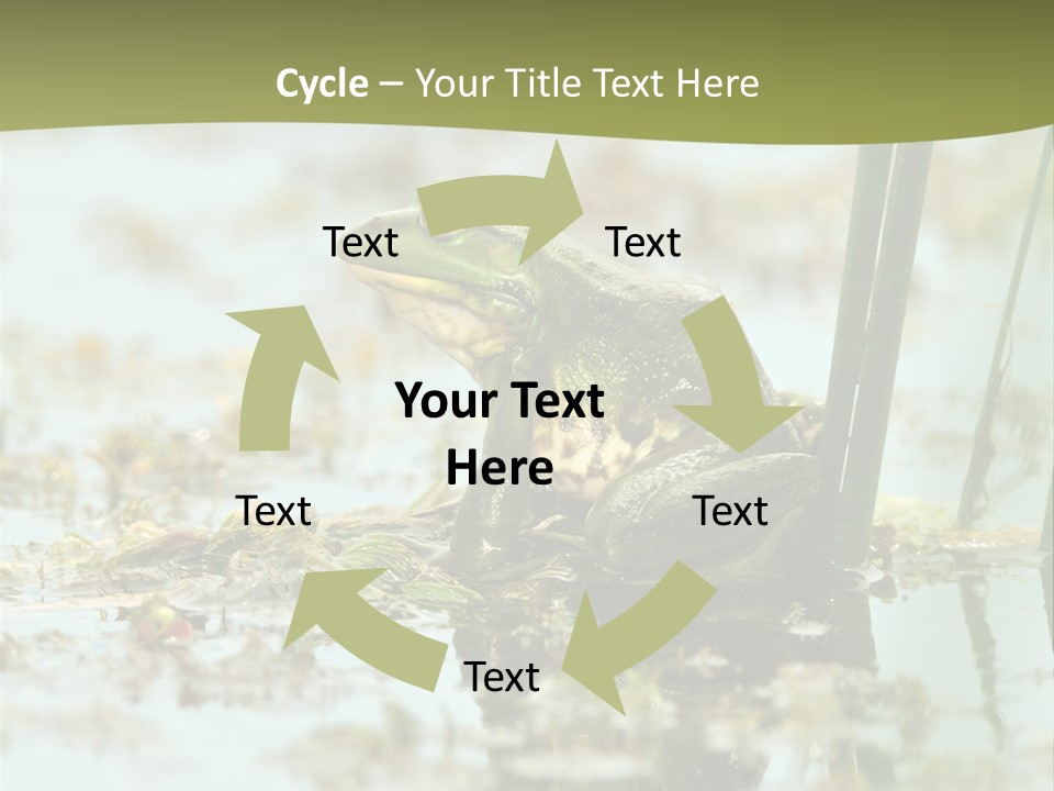 Beautiful Summer Green PowerPoint Template