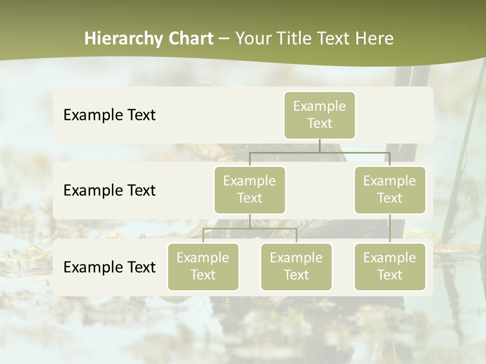 Beautiful Summer Green PowerPoint Template
