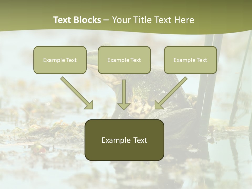 Beautiful Summer Green PowerPoint Template