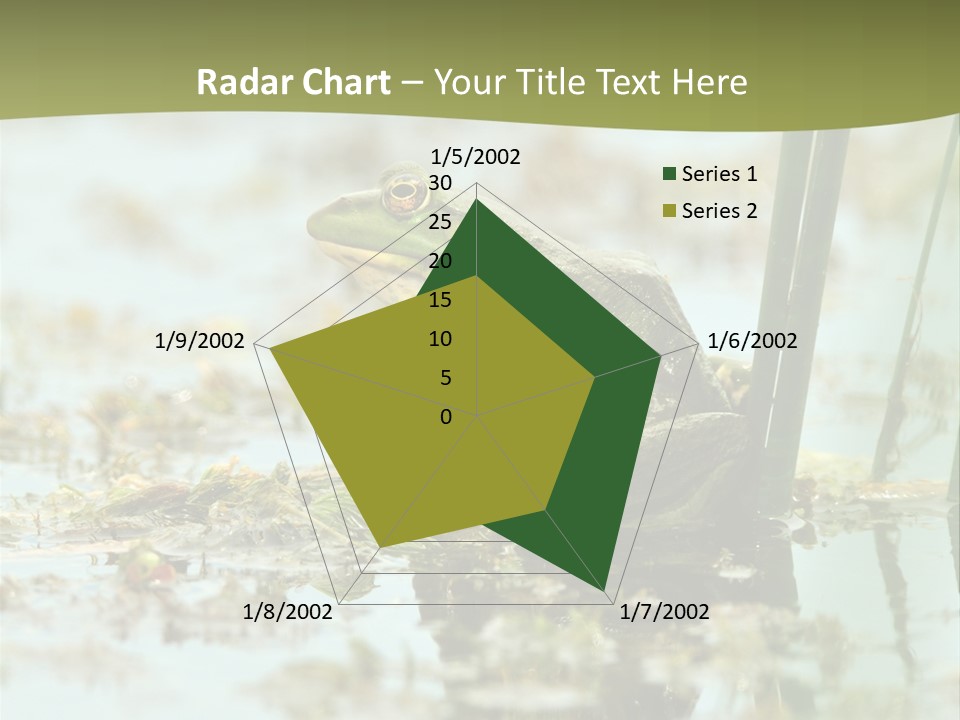 Beautiful Summer Green PowerPoint Template