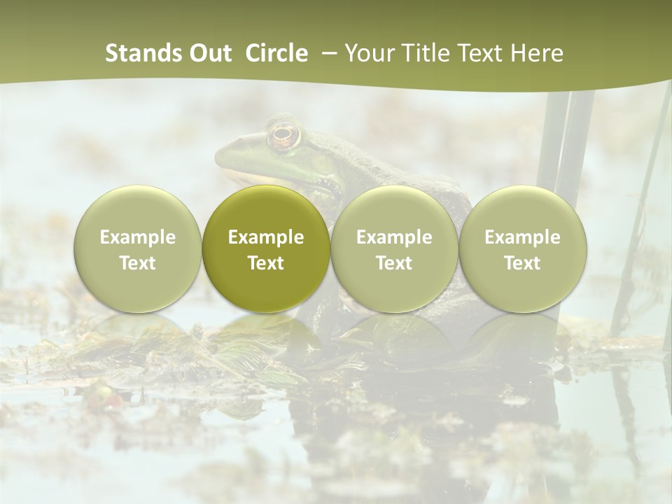 Beautiful Summer Green PowerPoint Template