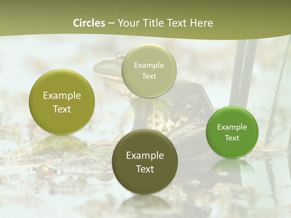 Beautiful Summer Green PowerPoint Template