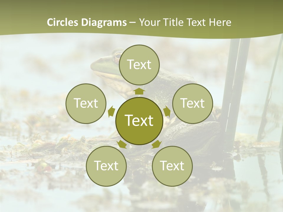 Beautiful Summer Green PowerPoint Template