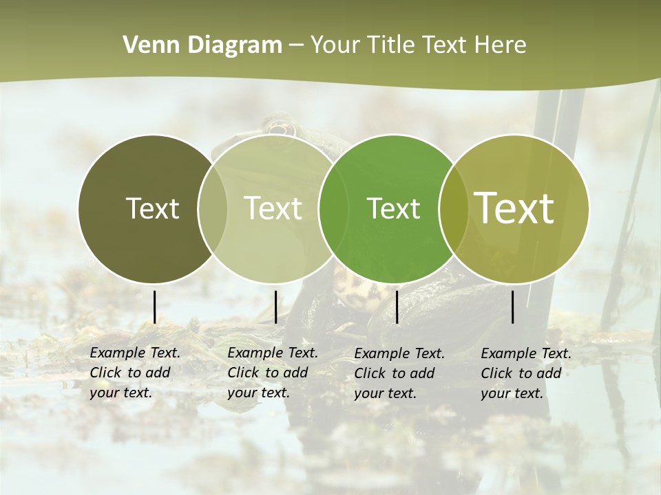 Beautiful Summer Green PowerPoint Template