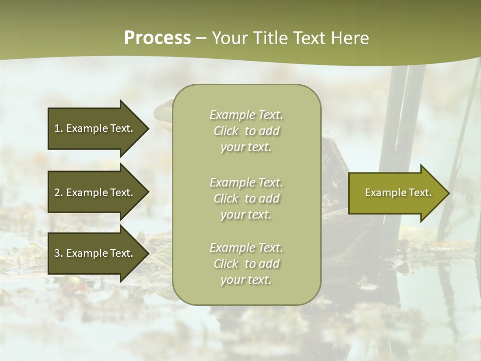 Beautiful Summer Green PowerPoint Template