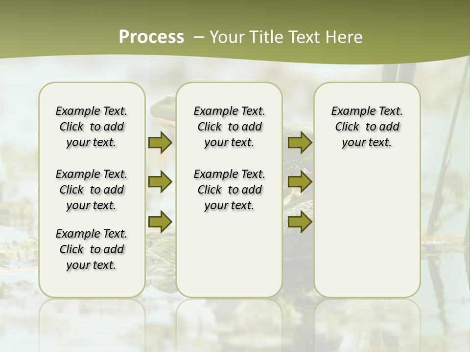 Beautiful Summer Green PowerPoint Template