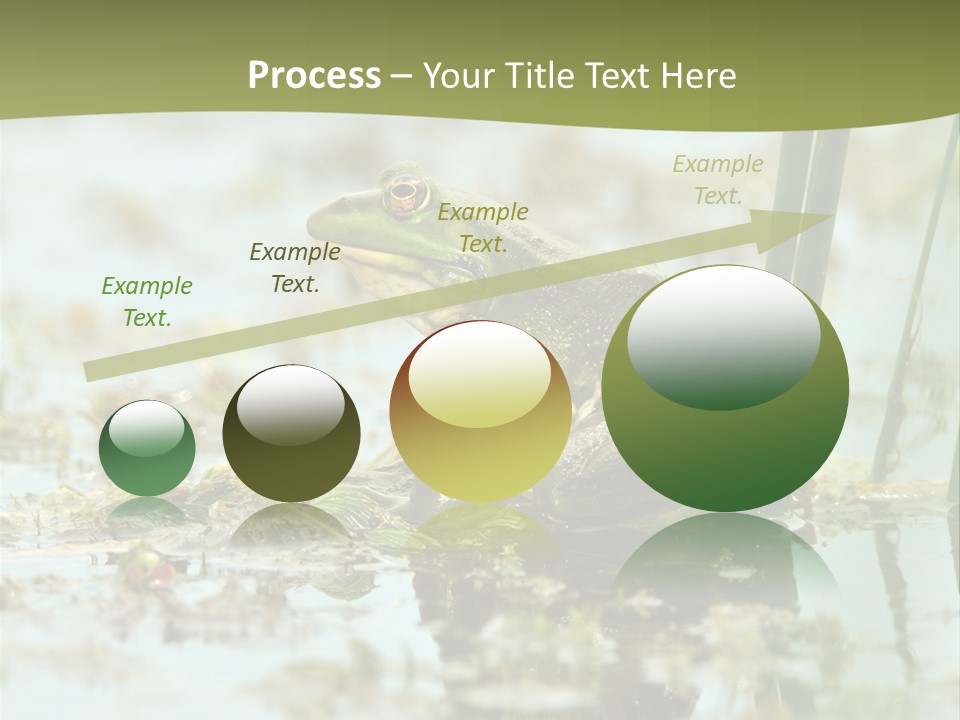 Beautiful Summer Green PowerPoint Template