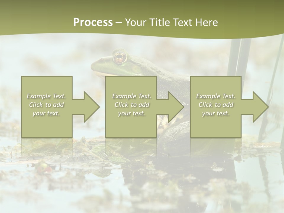 Beautiful Summer Green PowerPoint Template