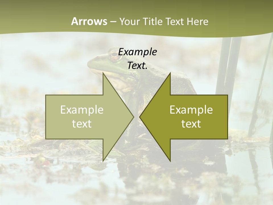 Beautiful Summer Green PowerPoint Template