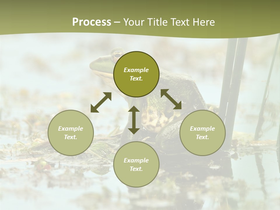 Beautiful Summer Green PowerPoint Template