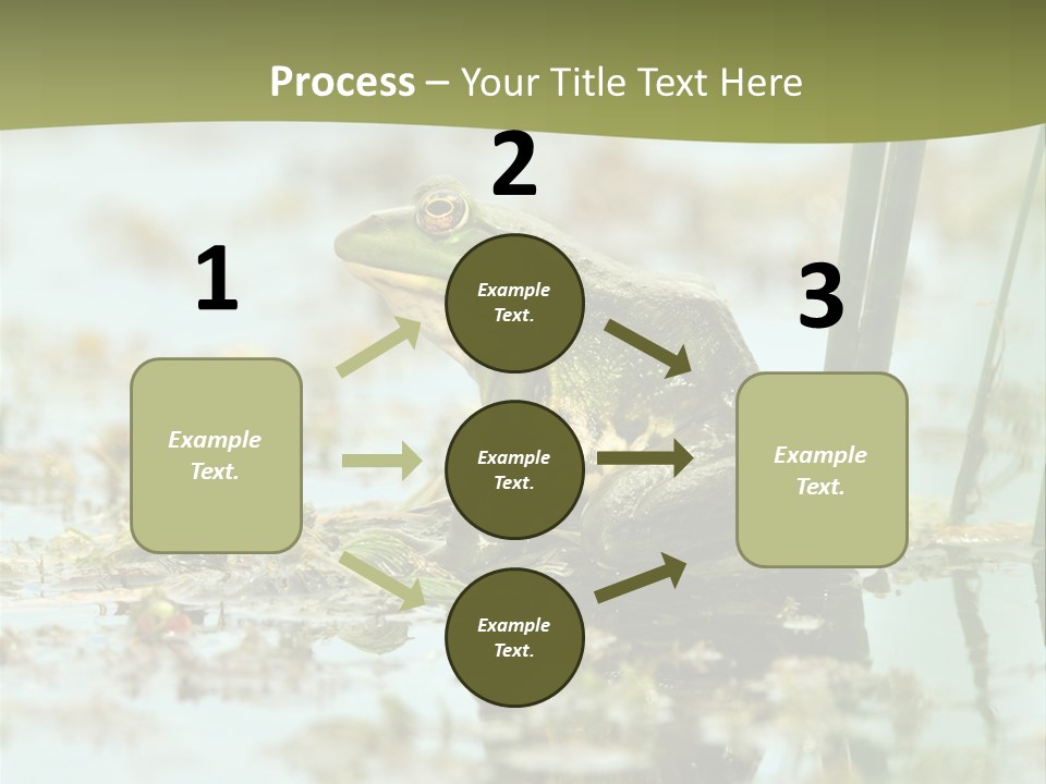 Beautiful Summer Green PowerPoint Template