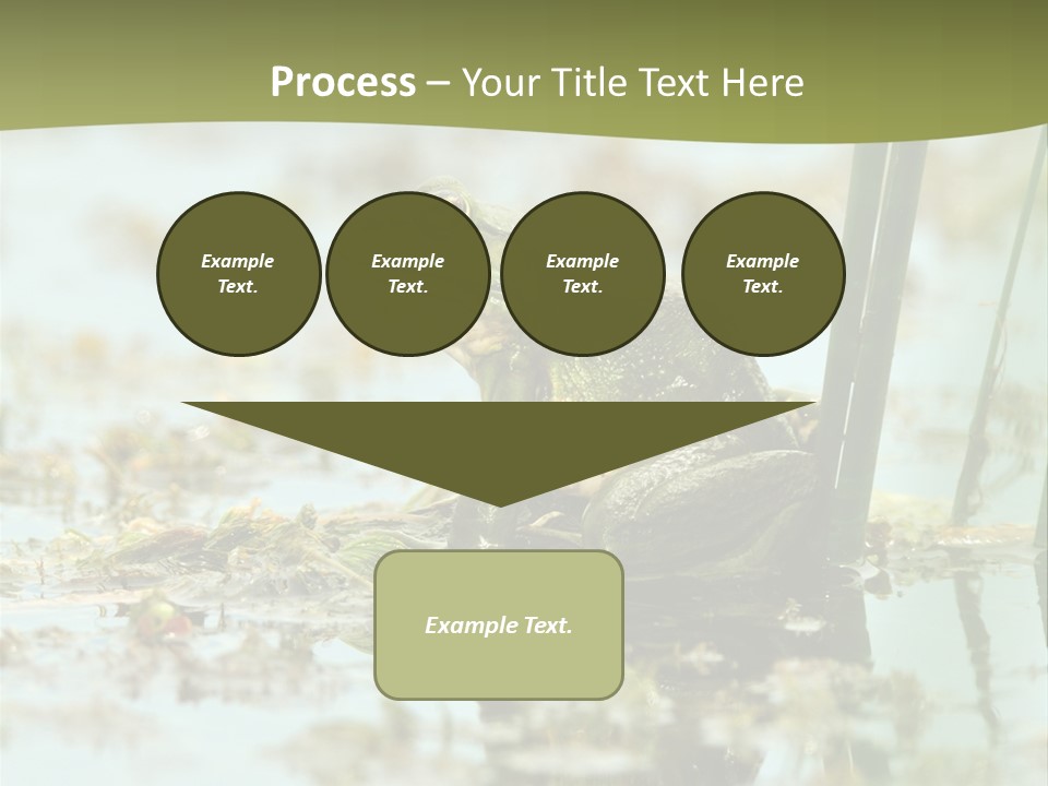Beautiful Summer Green PowerPoint Template