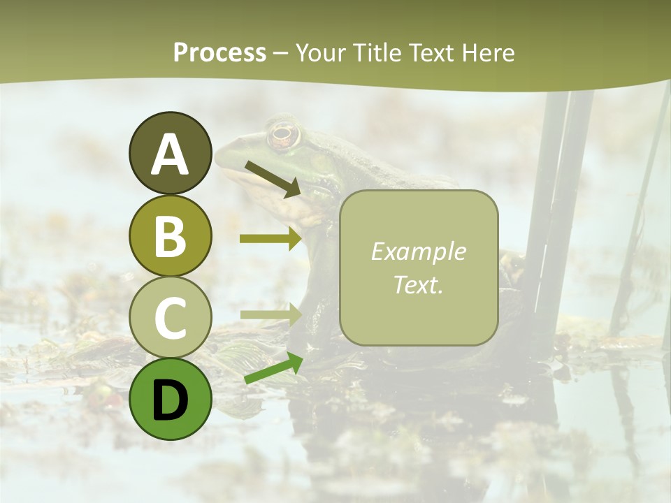 Beautiful Summer Green PowerPoint Template