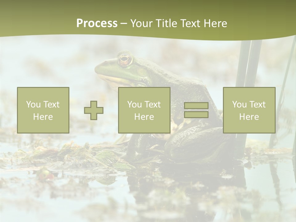 Beautiful Summer Green PowerPoint Template