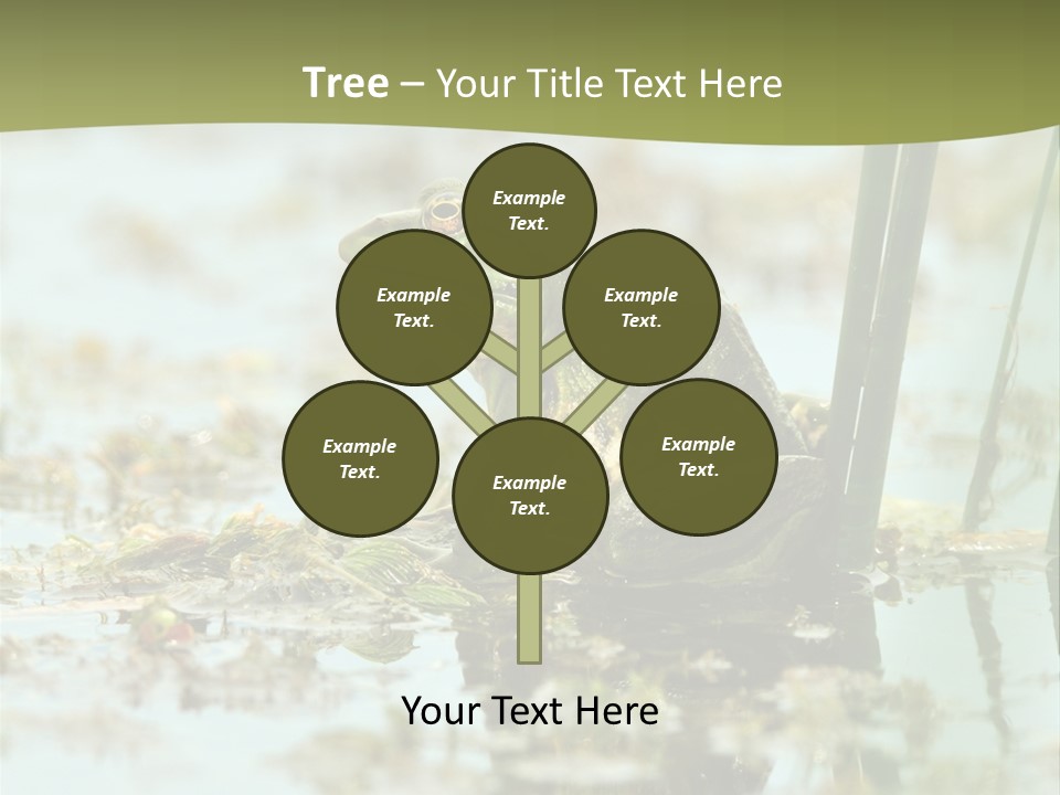 Beautiful Summer Green PowerPoint Template