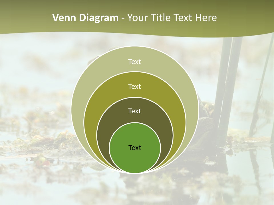 Beautiful Summer Green PowerPoint Template