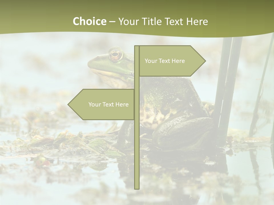 Beautiful Summer Green PowerPoint Template