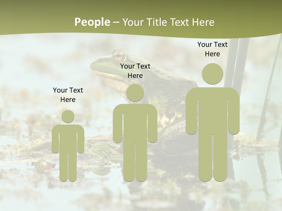 Beautiful Summer Green PowerPoint Template