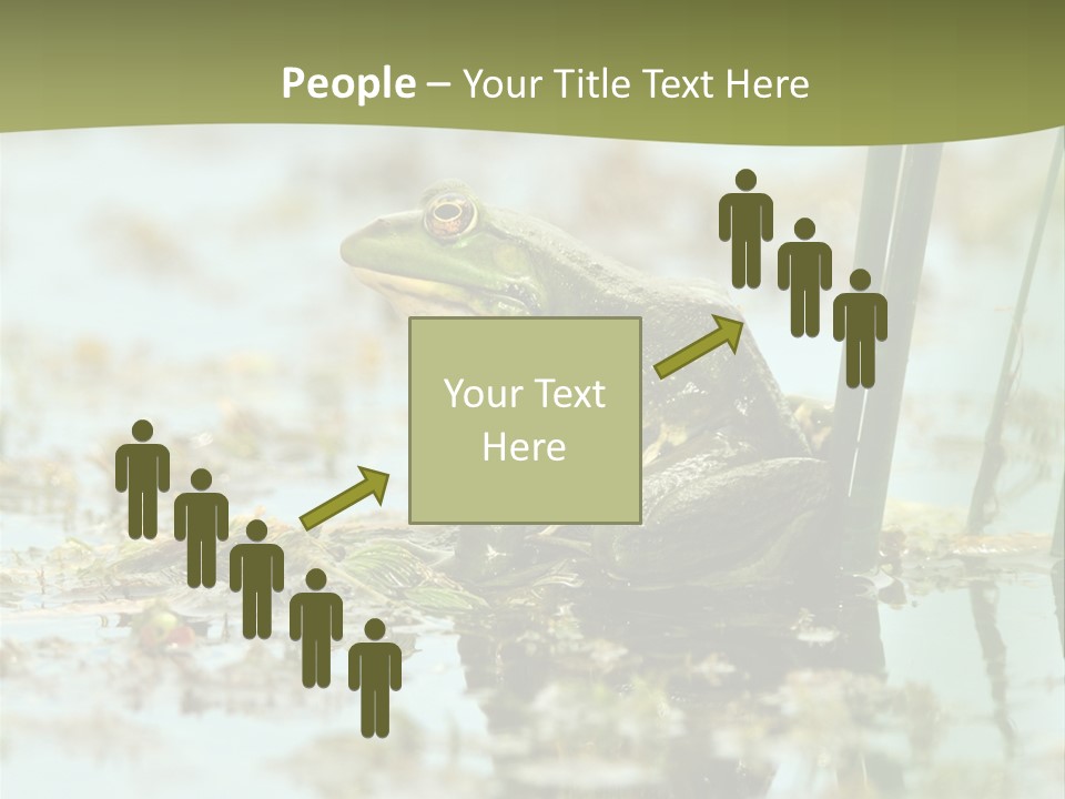 Beautiful Summer Green PowerPoint Template