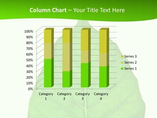 Linking Curve Veins PowerPoint Template