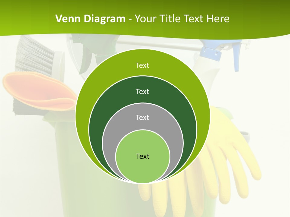 Spray Bottle Household Cleanup PowerPoint Template