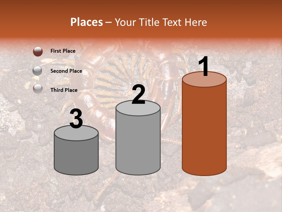 Centipede Arthropod Wildlife PowerPoint Template