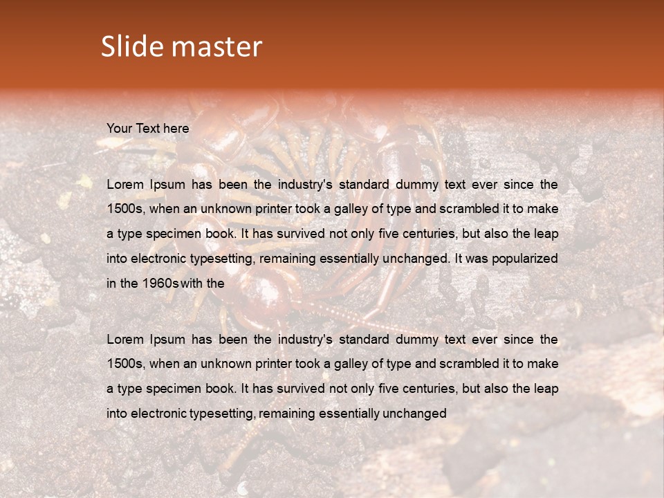 Centipede Arthropod Wildlife PowerPoint Template